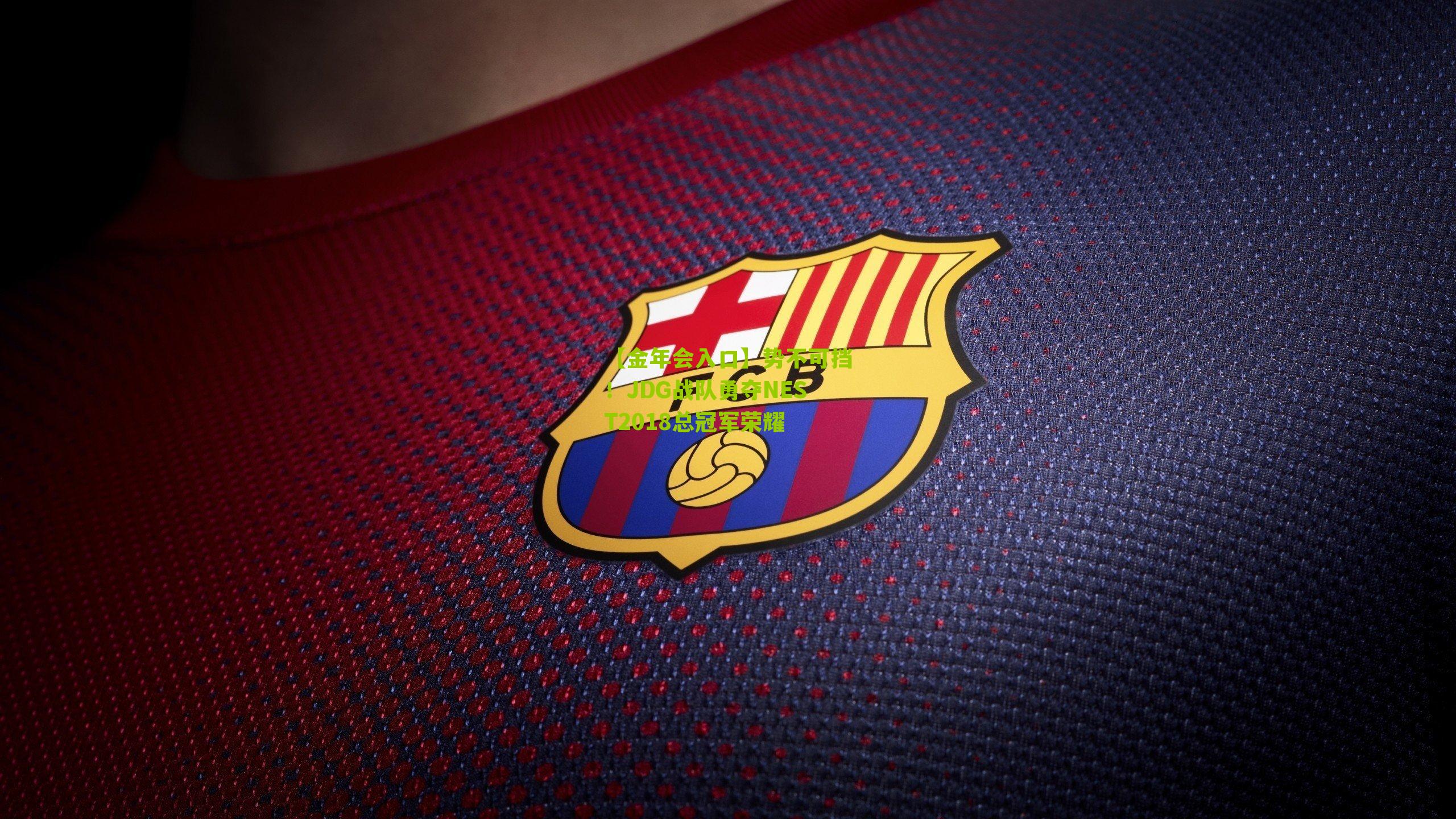 势不可挡！JDG战队勇夺NEST2018总冠军荣耀